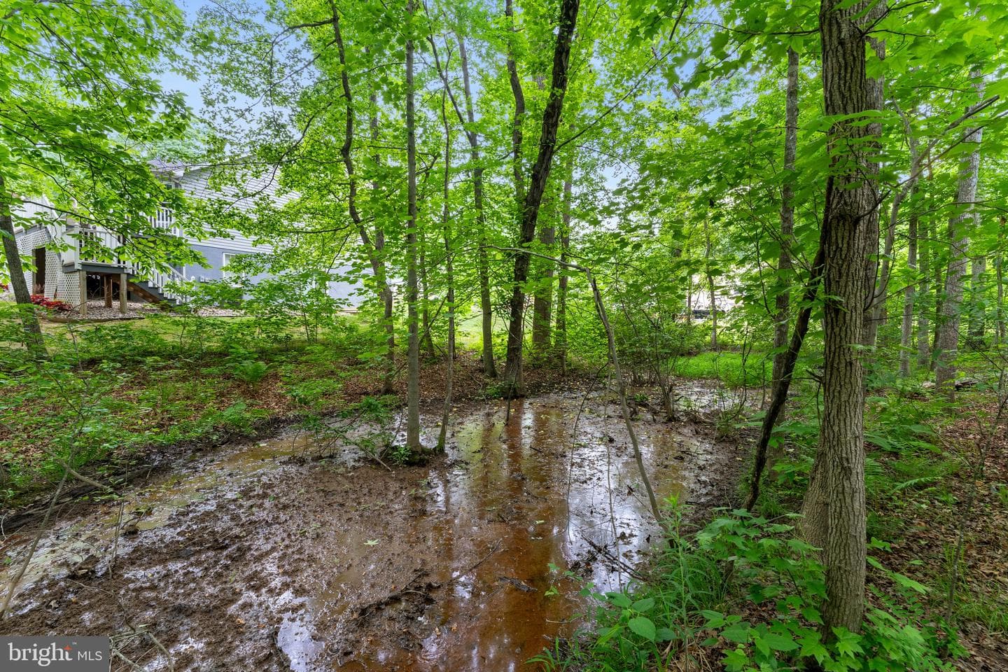 10614 Rhoads Drive photo 50