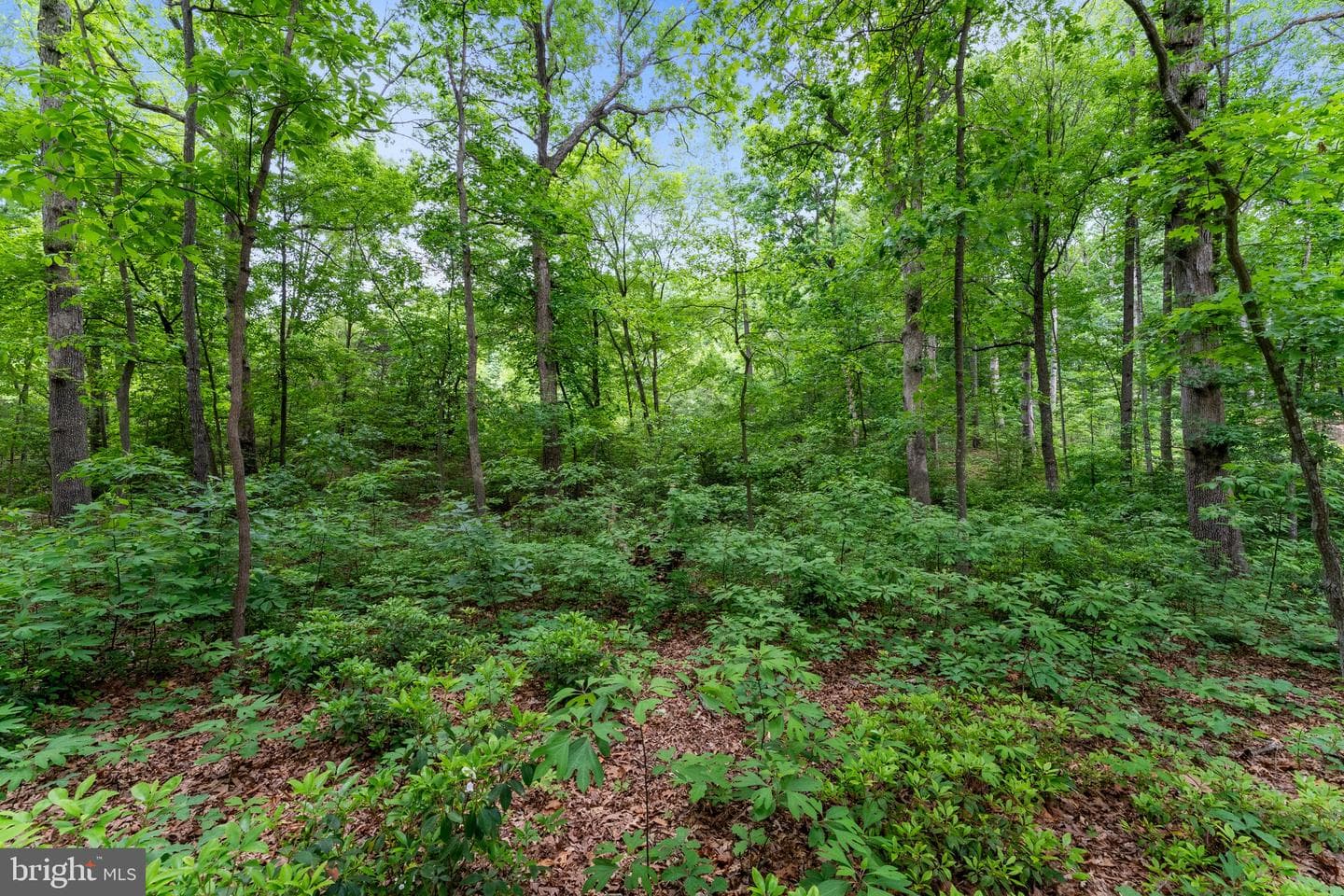 10614 Rhoads Drive photo 51