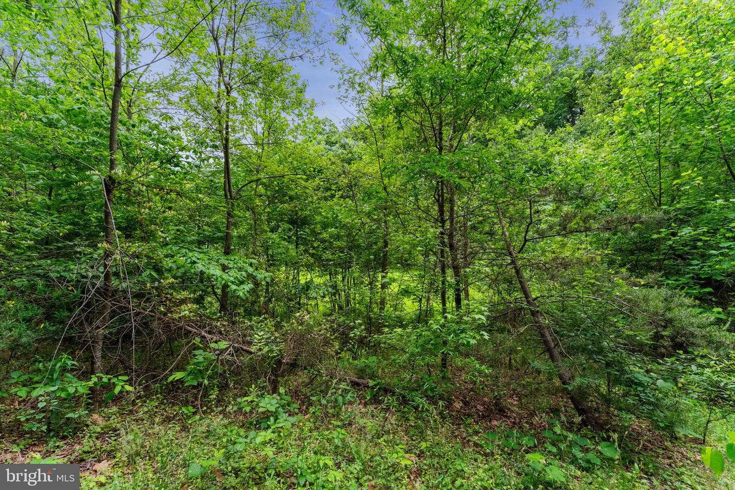 10614 Rhoads Drive photo 53