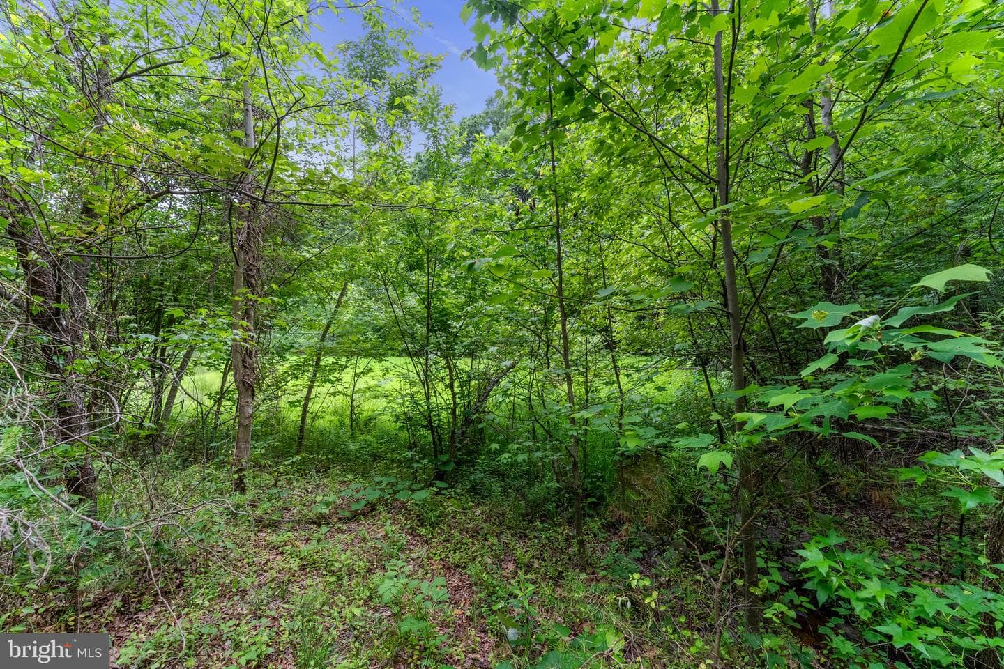 10614 Rhoads Drive photo 54