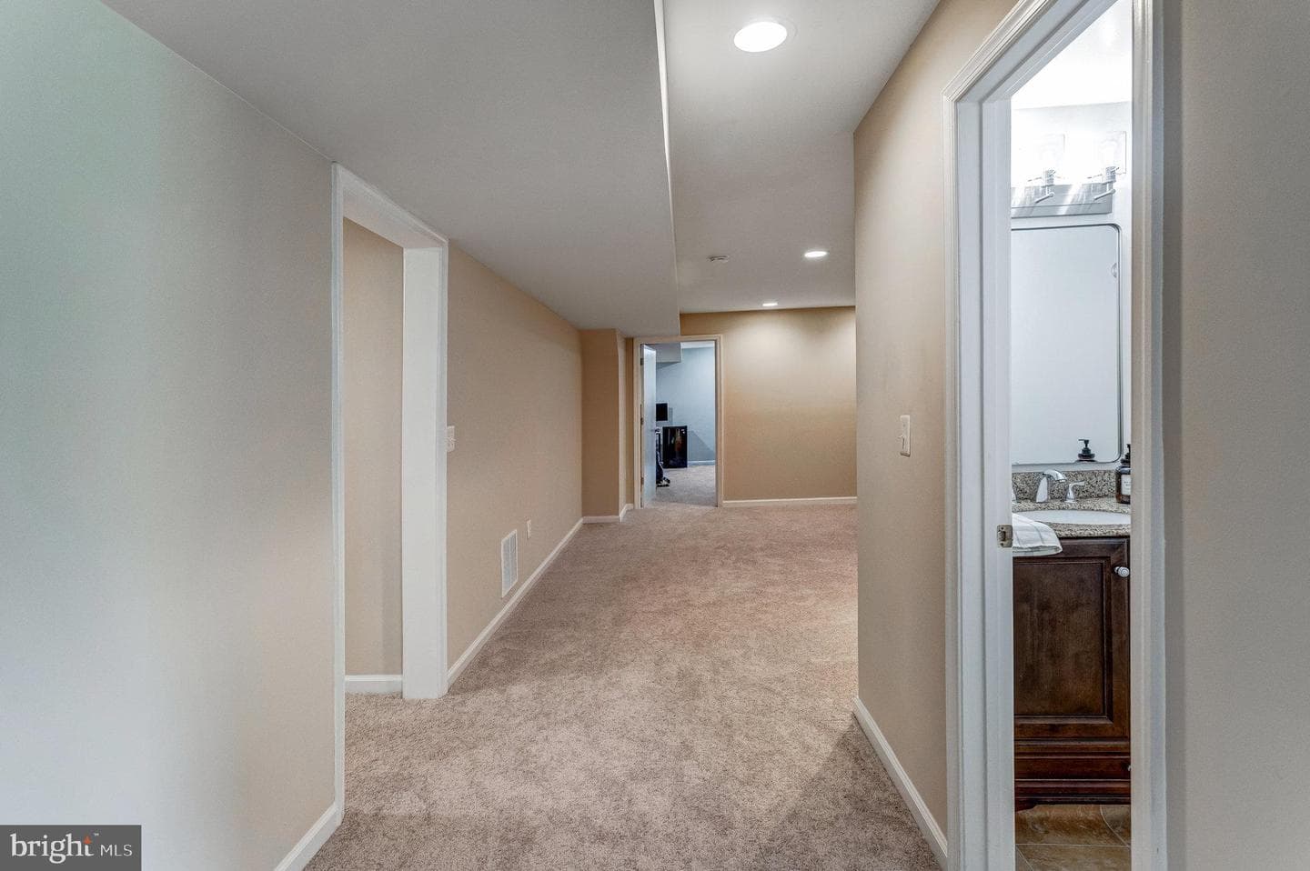 11211 Spring Meadow Boulevard photo 45