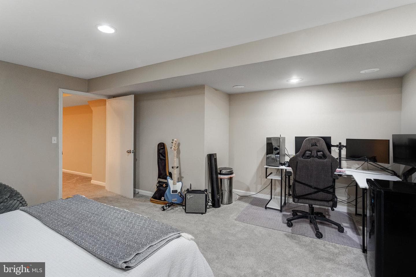11211 Spring Meadow Boulevard photo 51