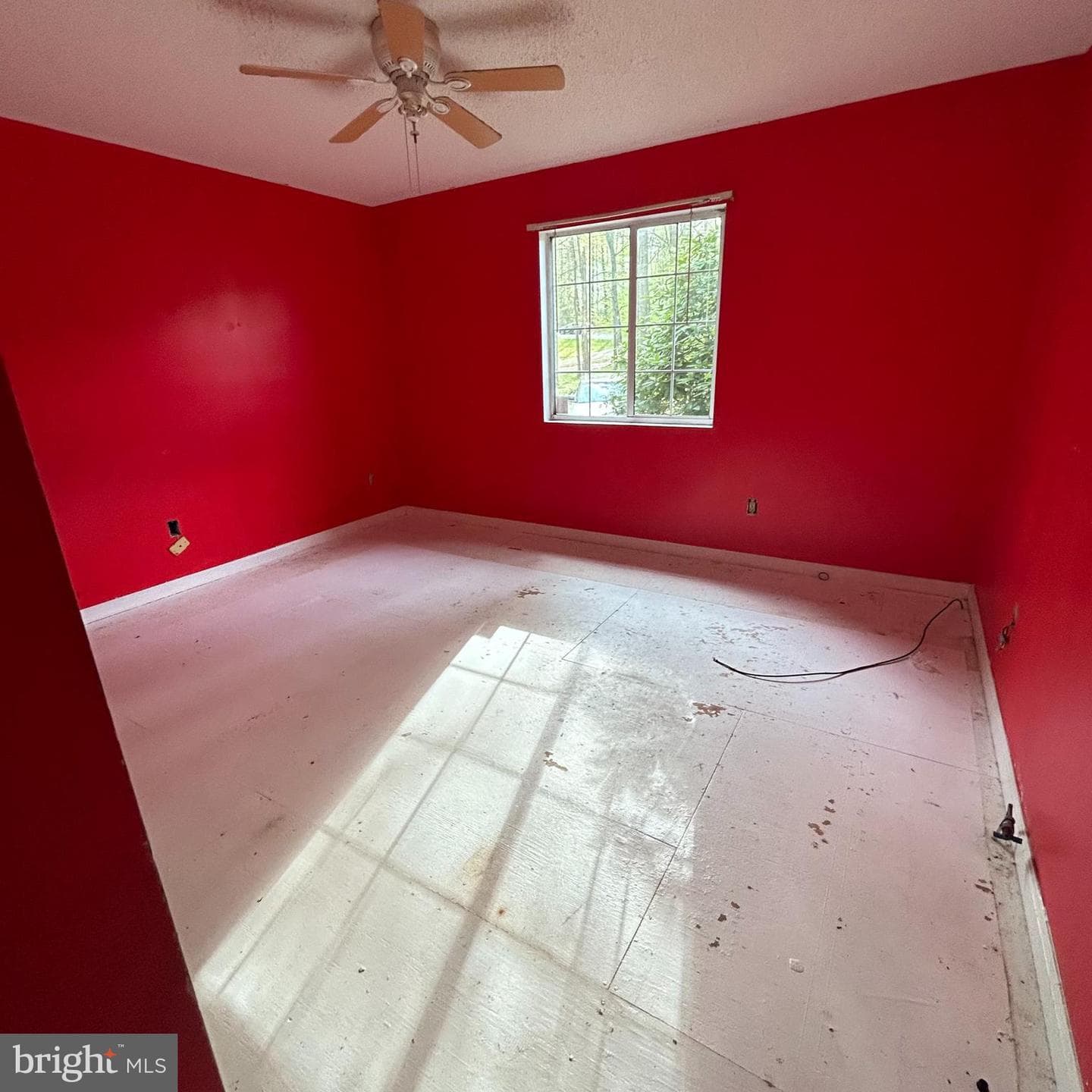 5915 Bradley Lane photo 13