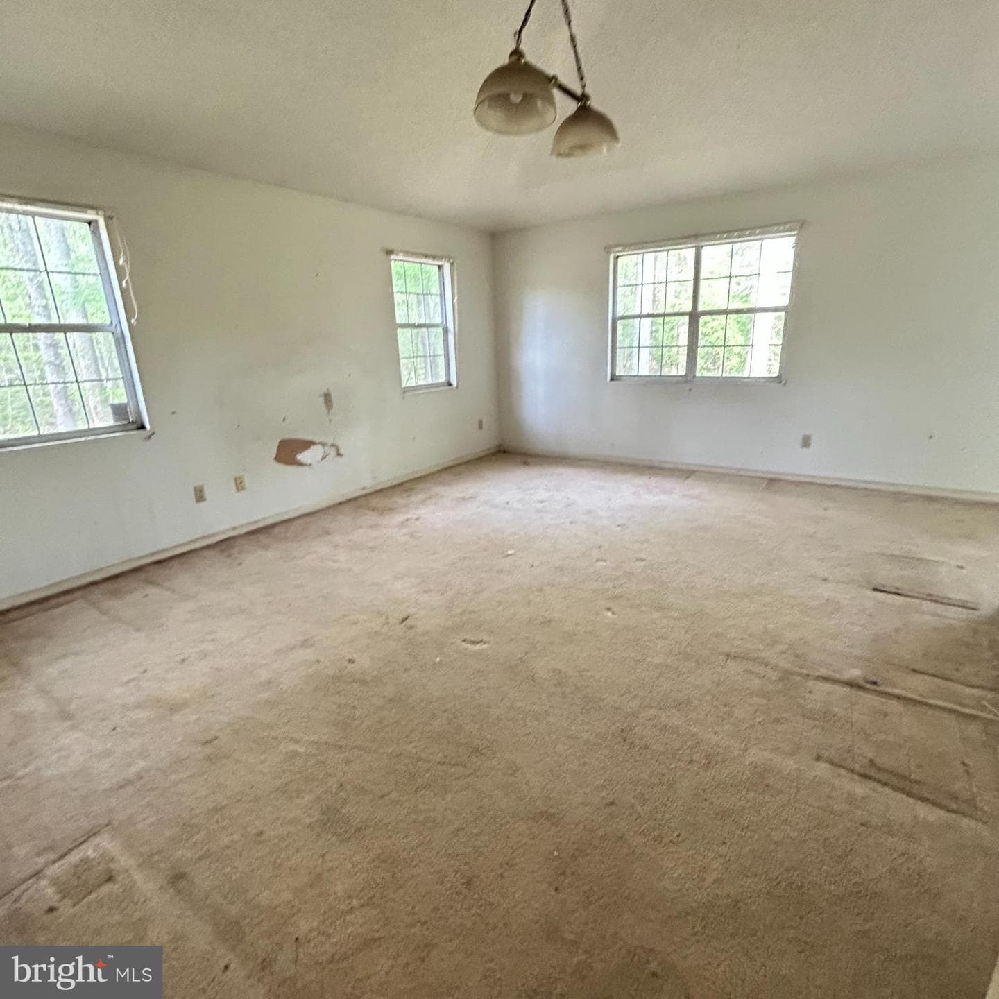 5915 Bradley Lane photo 16