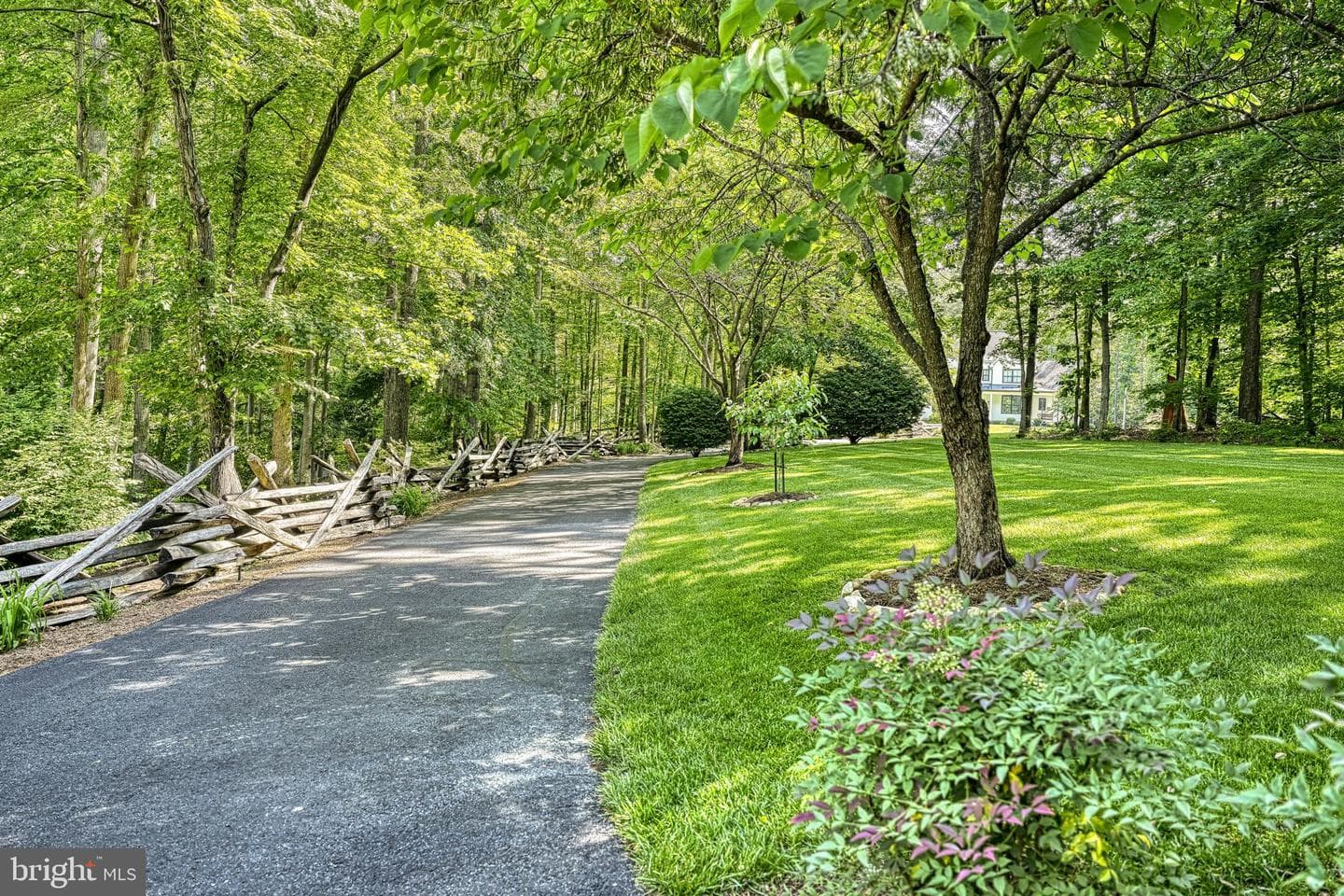 13300 Black Walnut Lane photo 85