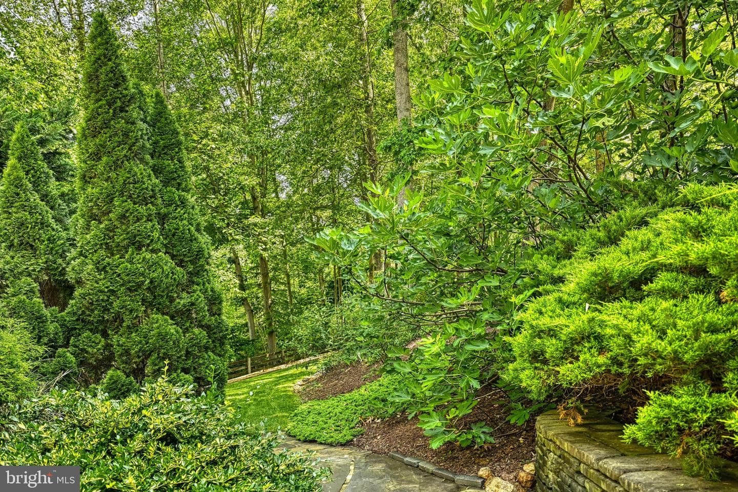 13300 Black Walnut Lane photo 92