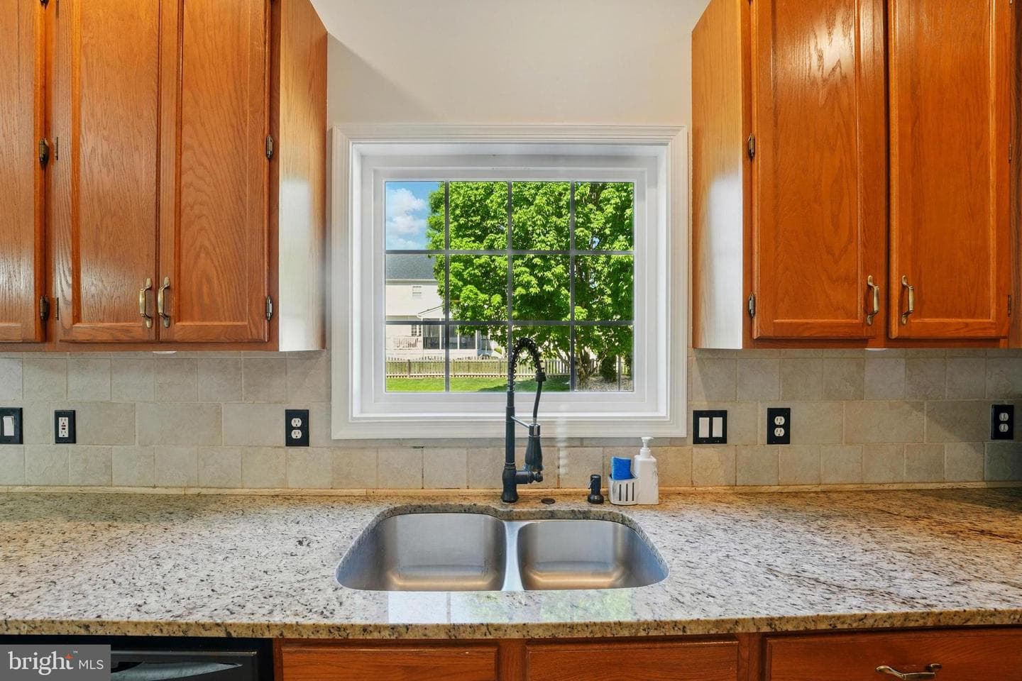 11209 Spring Meadow Boulevard photo 25