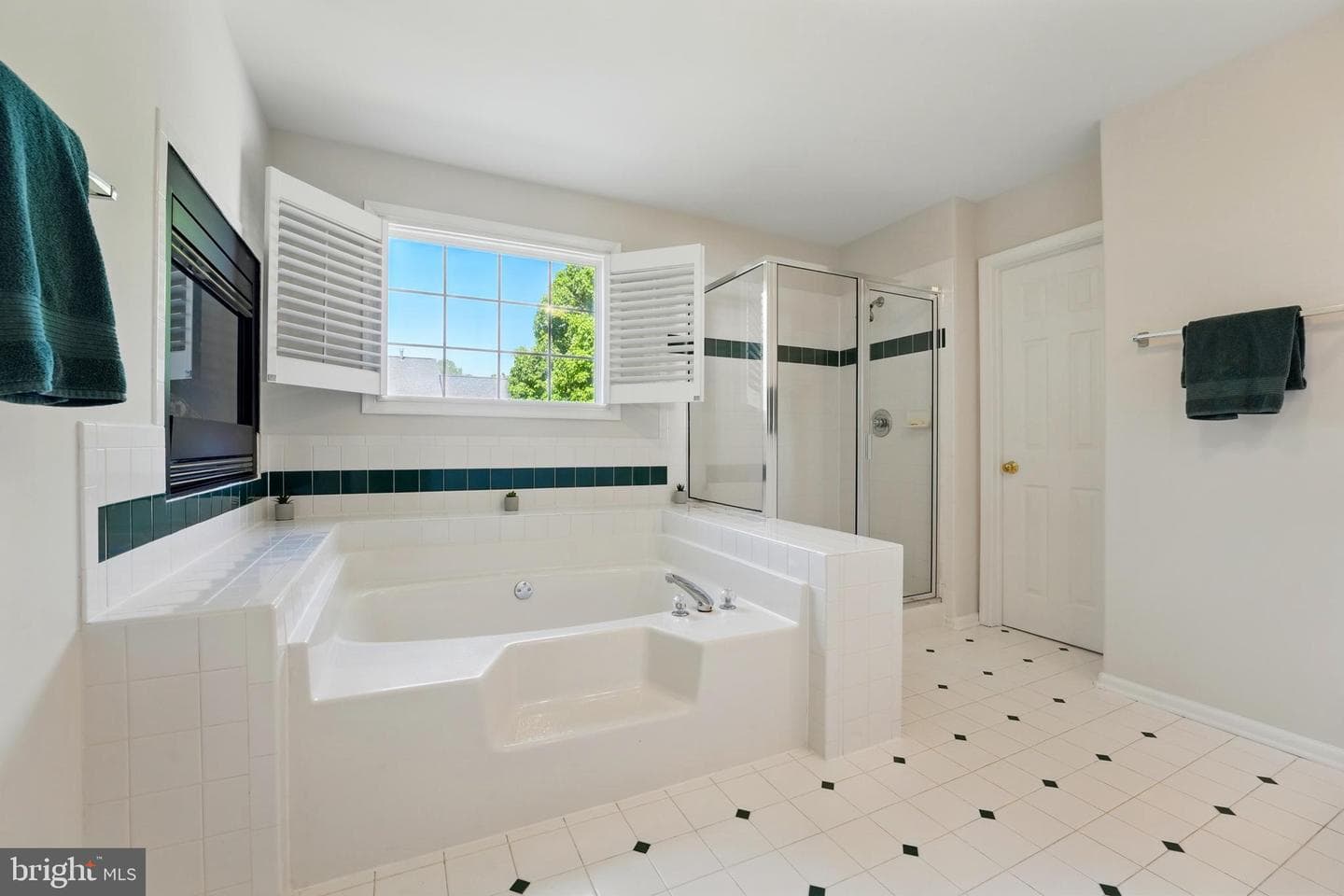 11209 Spring Meadow Boulevard photo 48