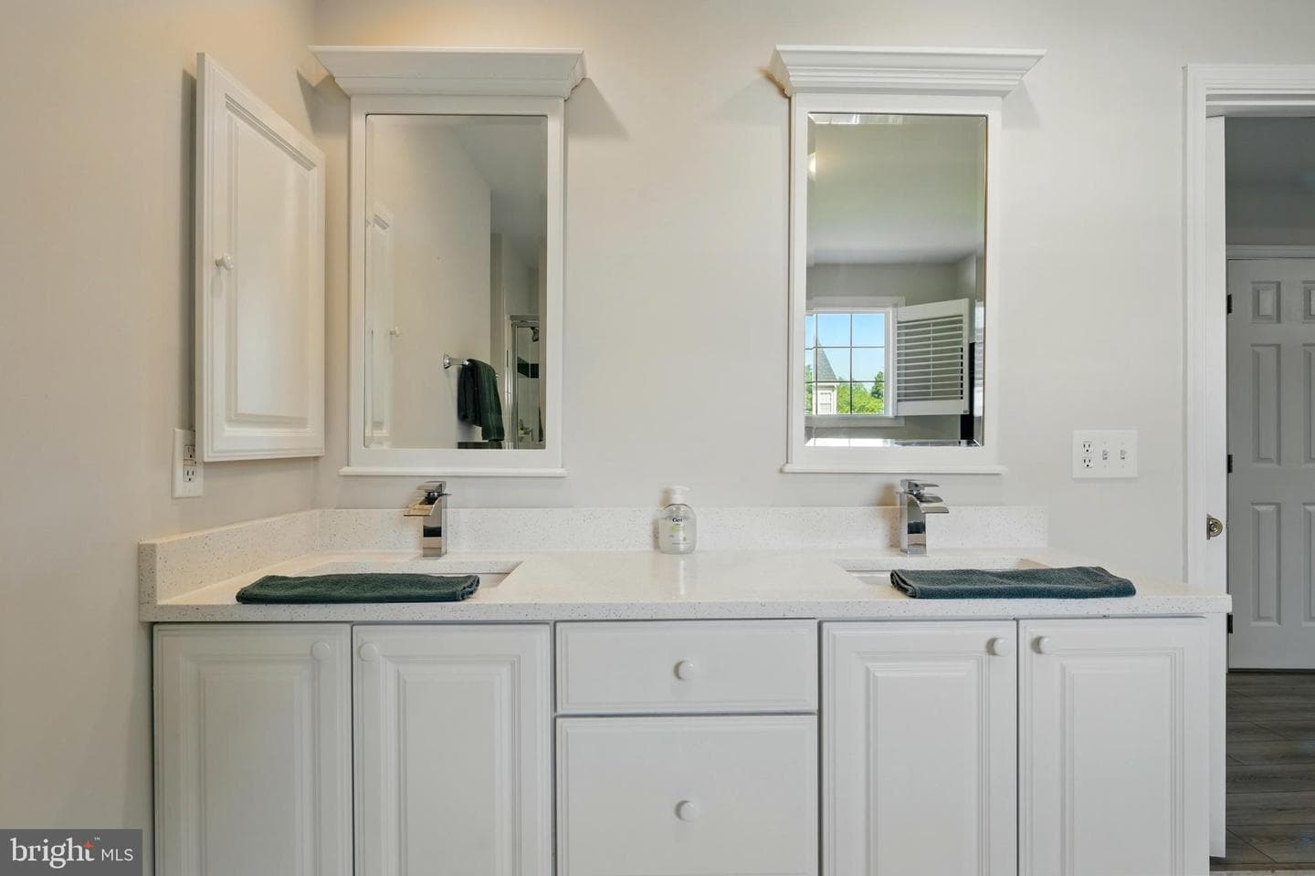 11209 Spring Meadow Boulevard photo 49