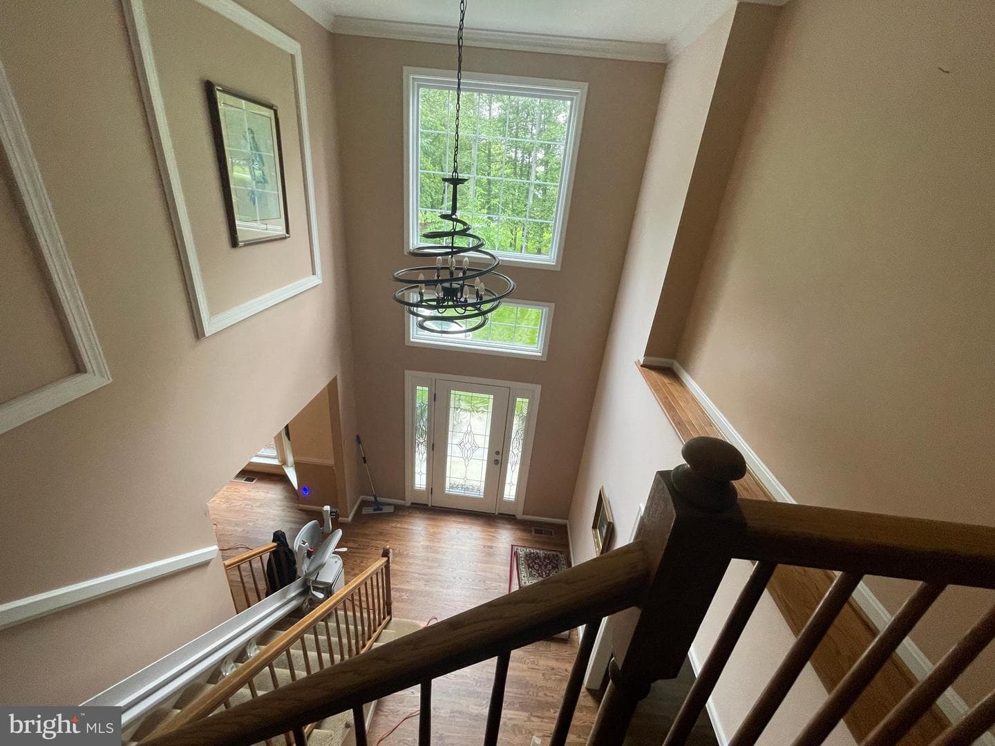 10724 Tealwing Cove photo 20