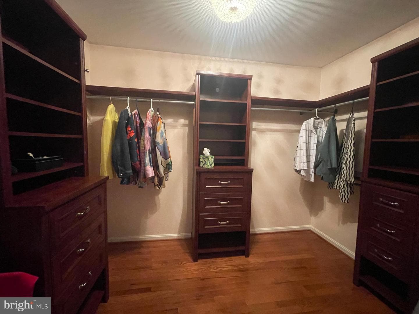 10724 Tealwing Cove photo 21
