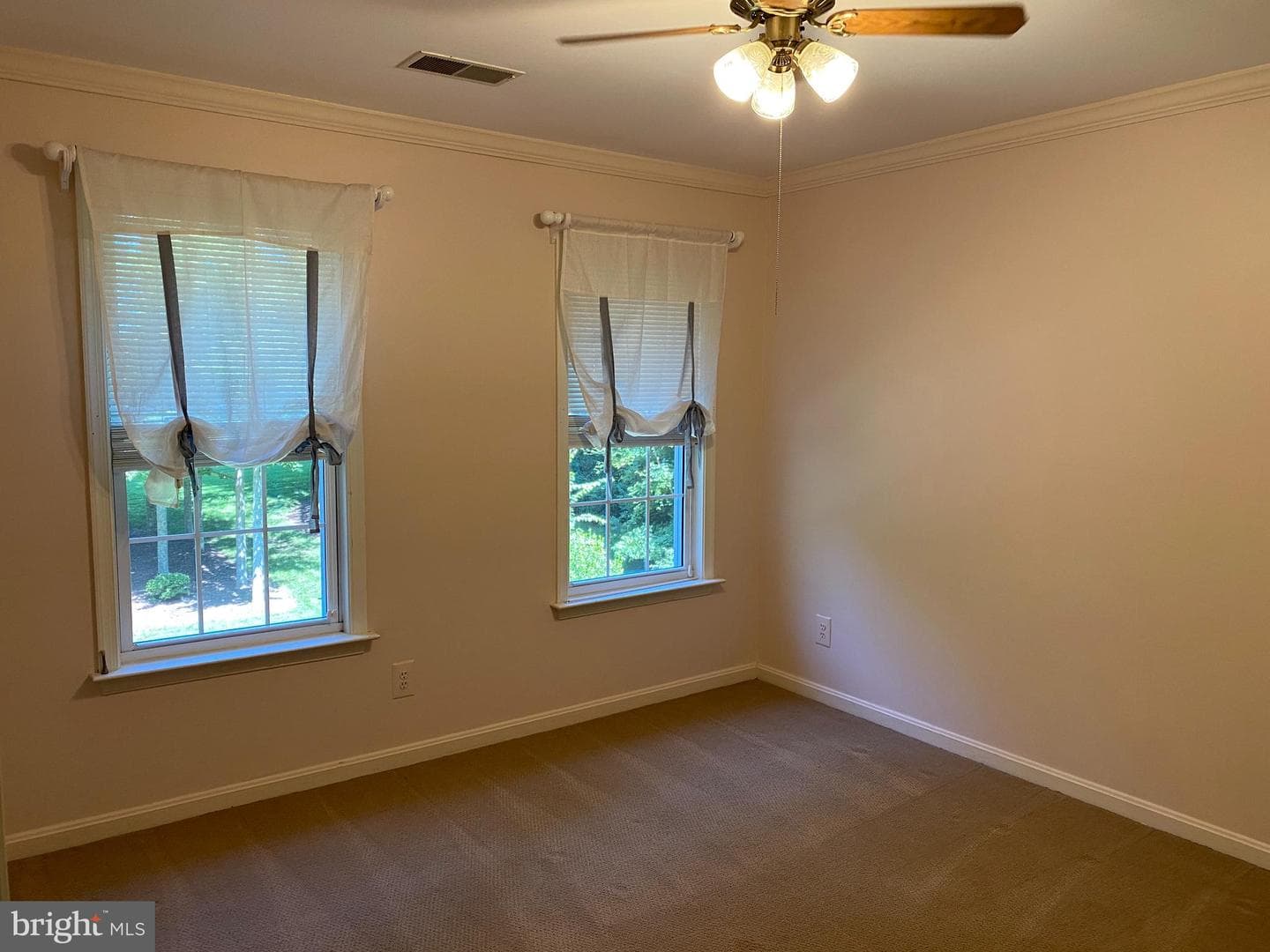 10724 Tealwing Cove photo 59