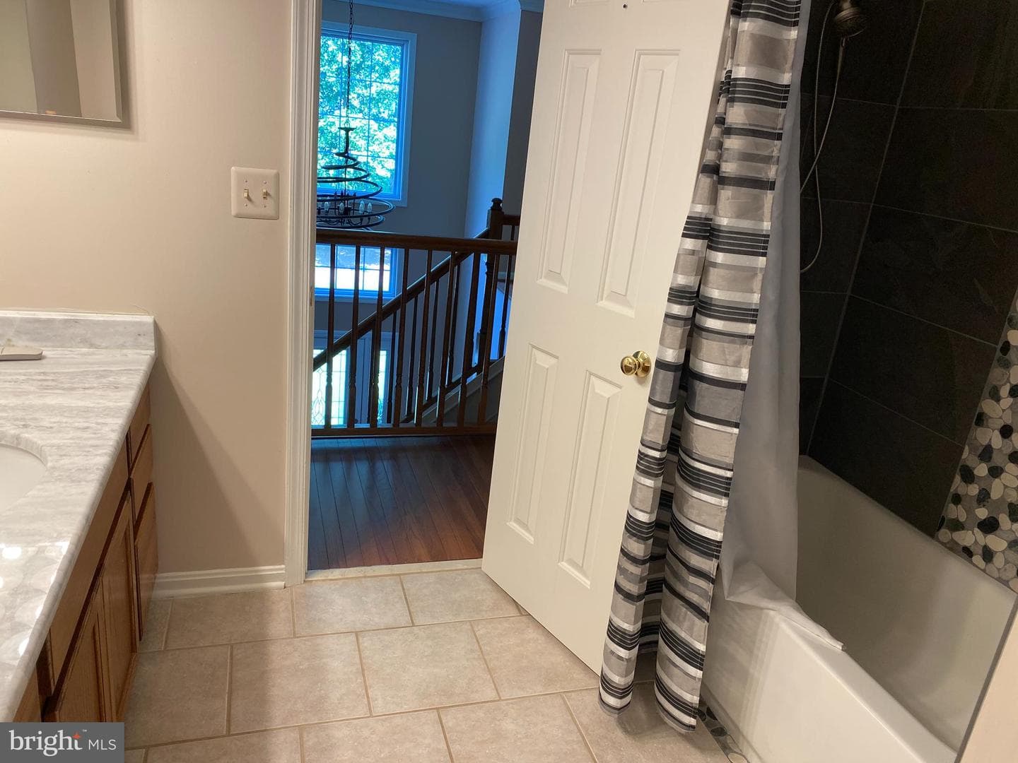 10724 Tealwing Cove photo 61