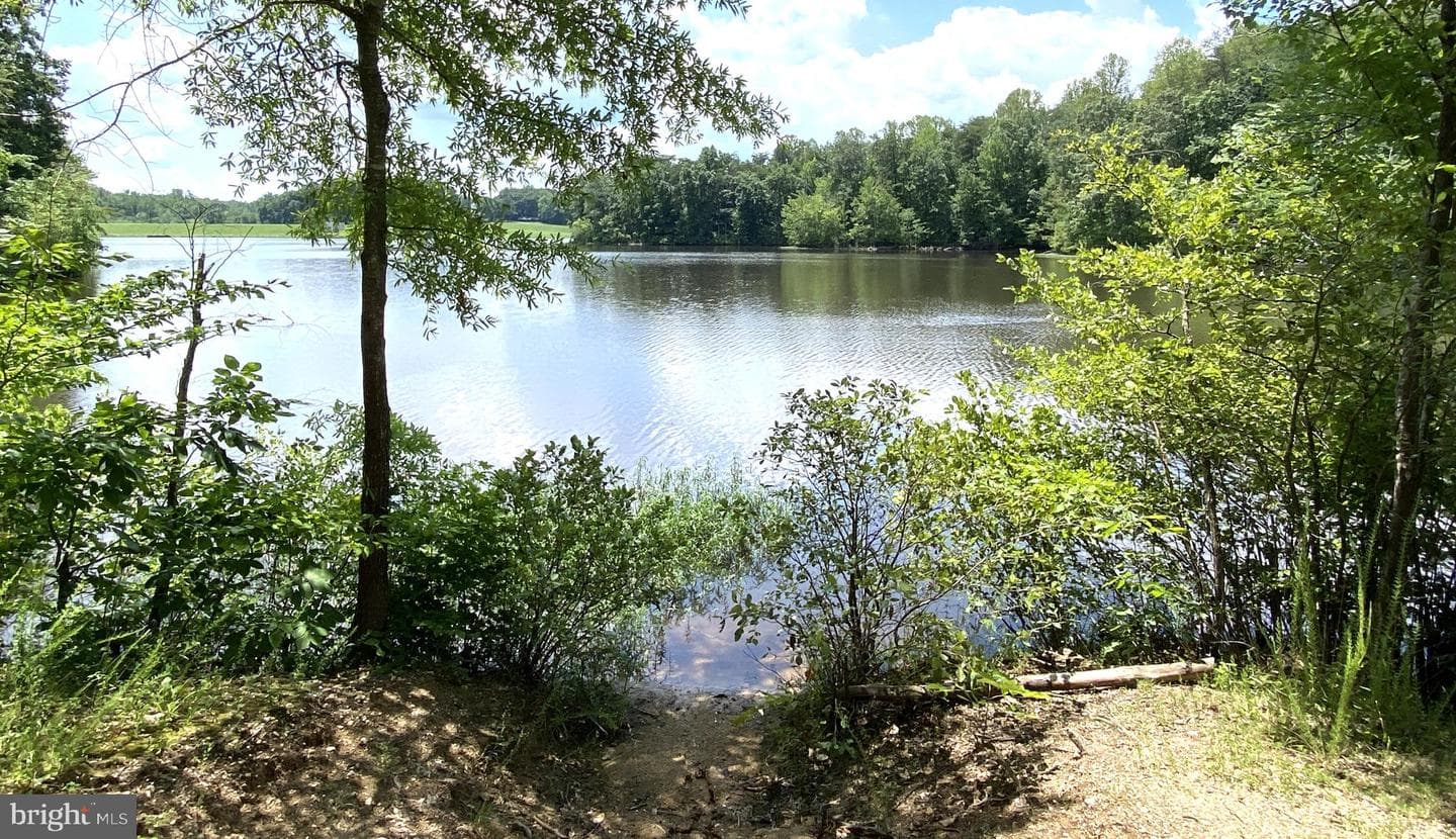 10724 Tealwing Cove photo 69