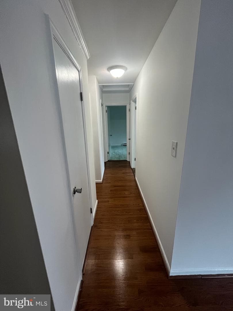 407 Hamilton Street photo 5