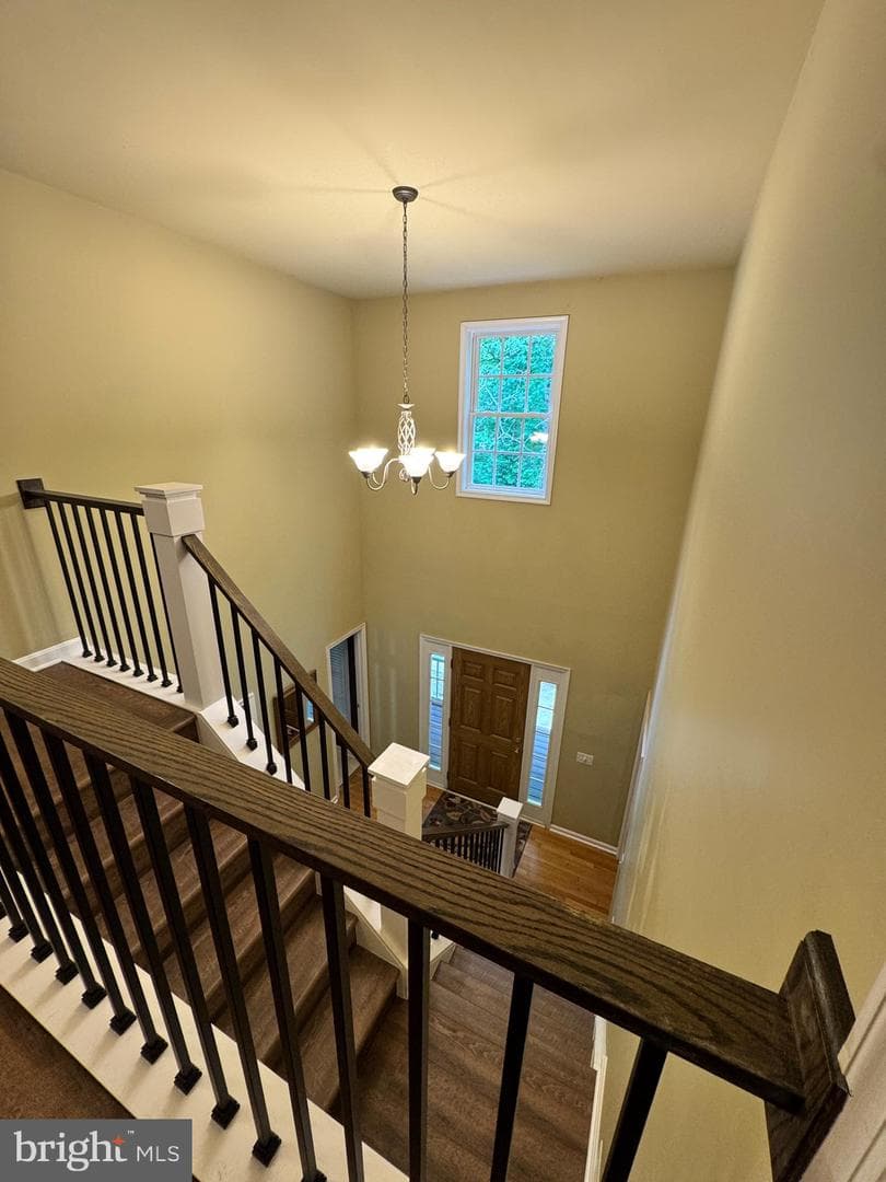 6609 Turkey Run Drive photo 44