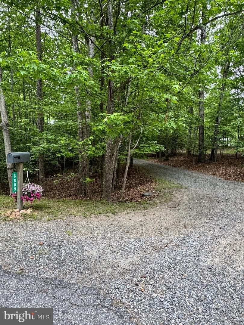 6609 Turkey Run Drive photo 91