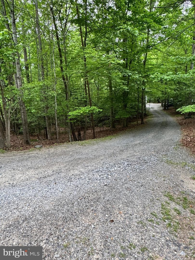 6609 Turkey Run Drive photo 92