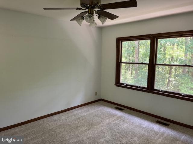 10001 Shawnee Lane photo 27