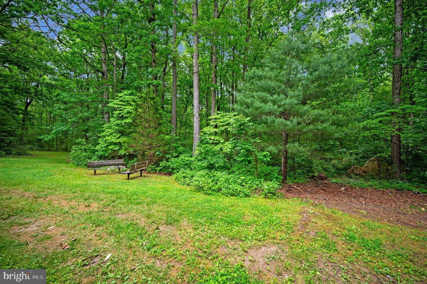 10001 Shawnee Lane photo 7