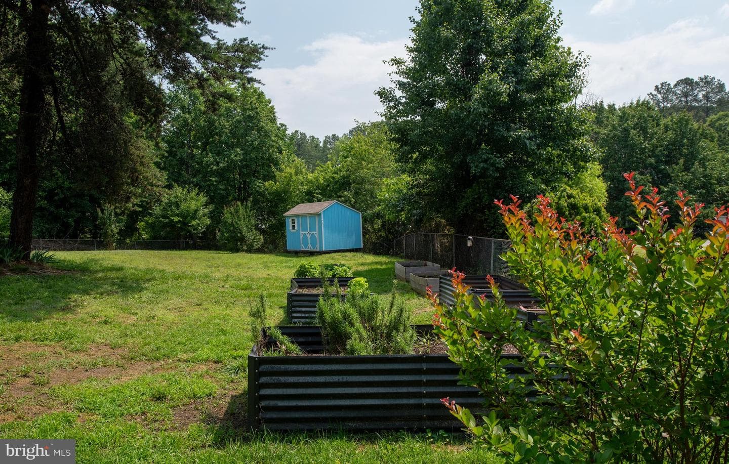 12203 Abner Court photo 47