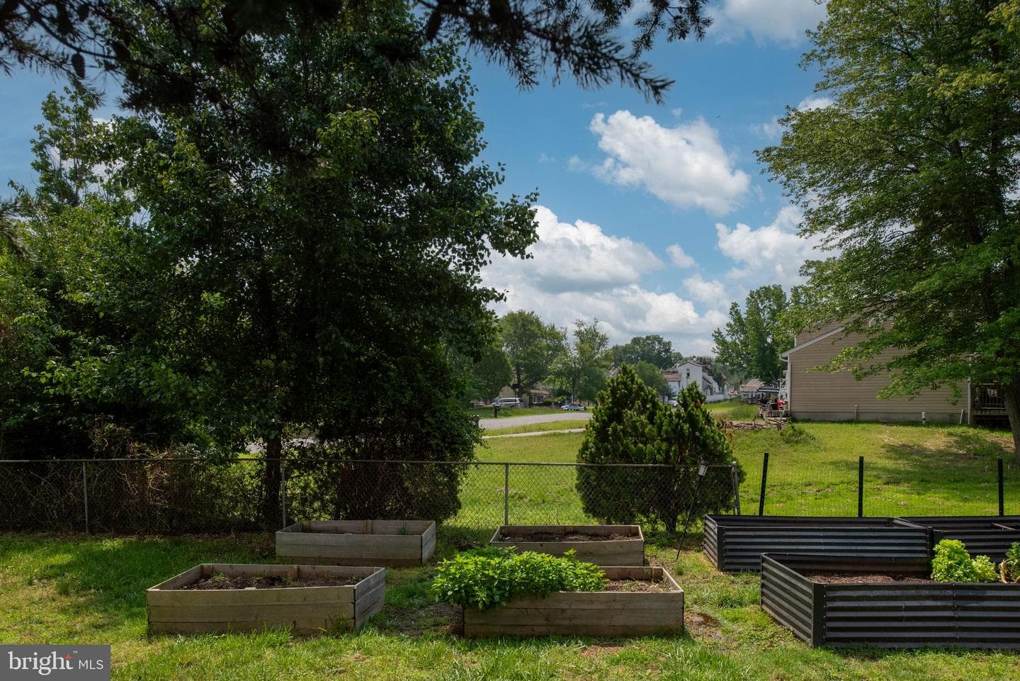 12203 Abner Court photo 50
