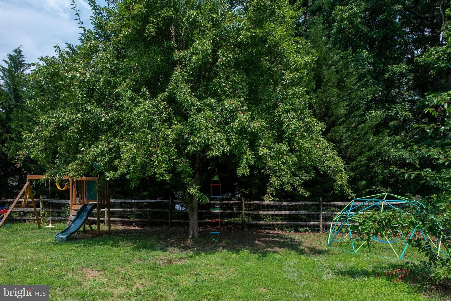 12203 Abner Court photo 53