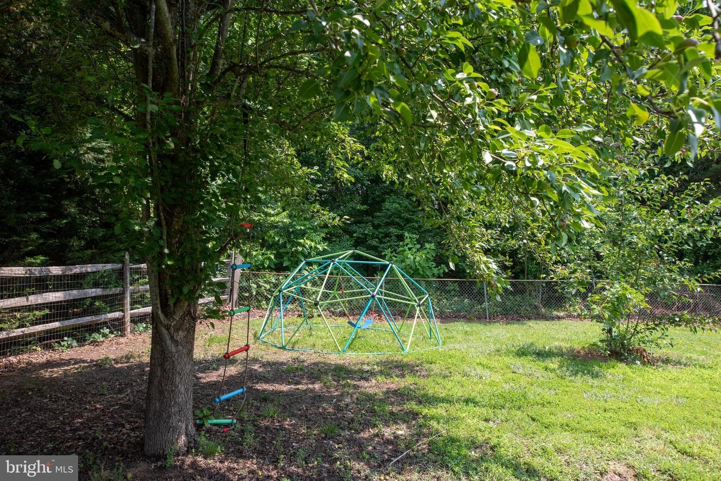 12203 Abner Court photo 59