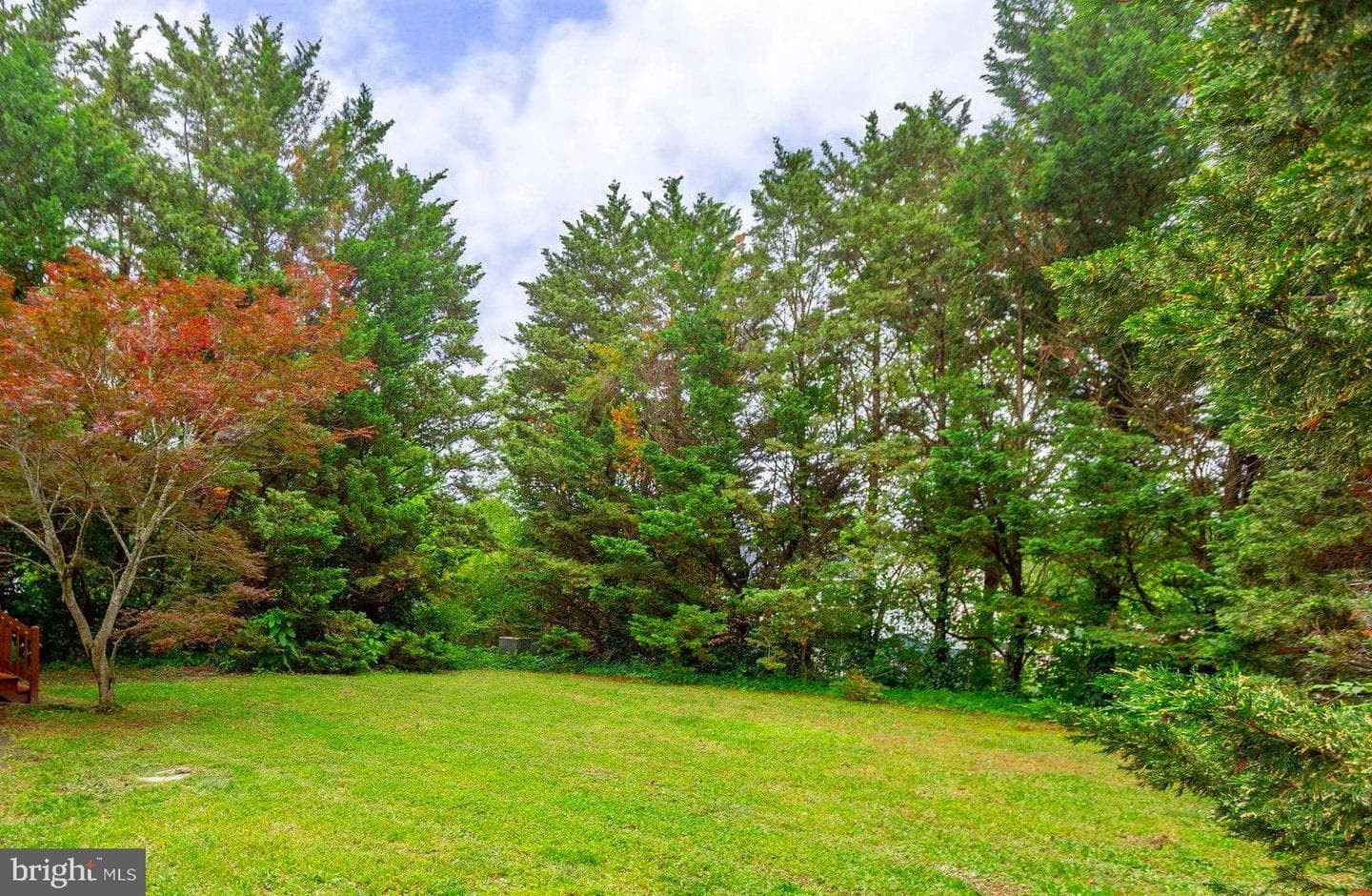 10807 Bent Tree Drive photo 39