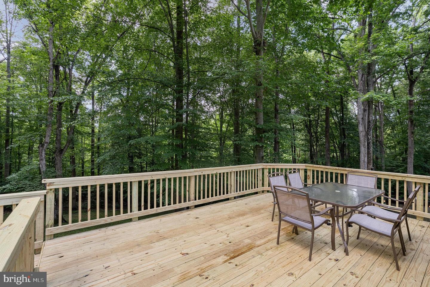 6217 Oak Grove Drive photo 20