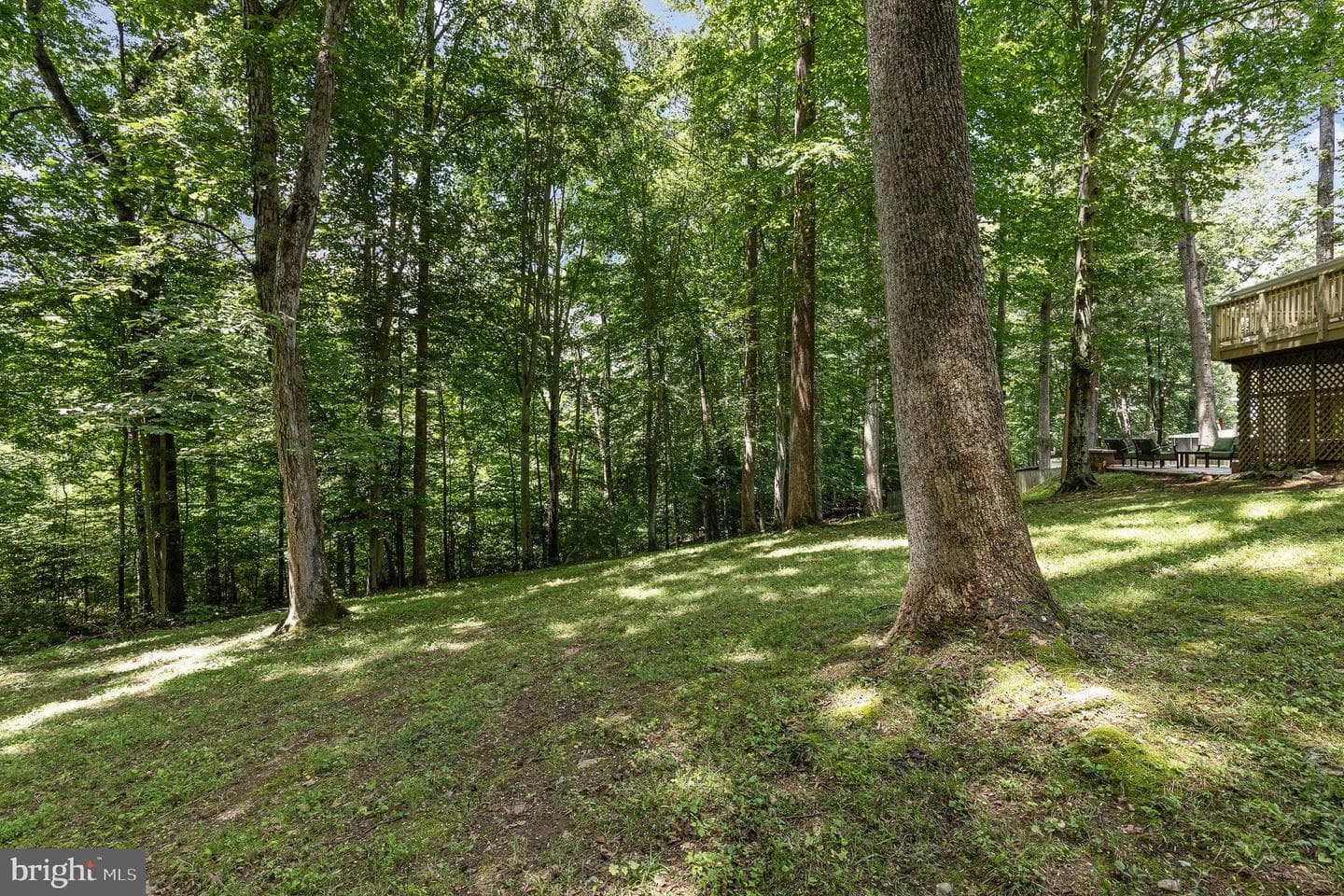 6217 Oak Grove Drive photo 22