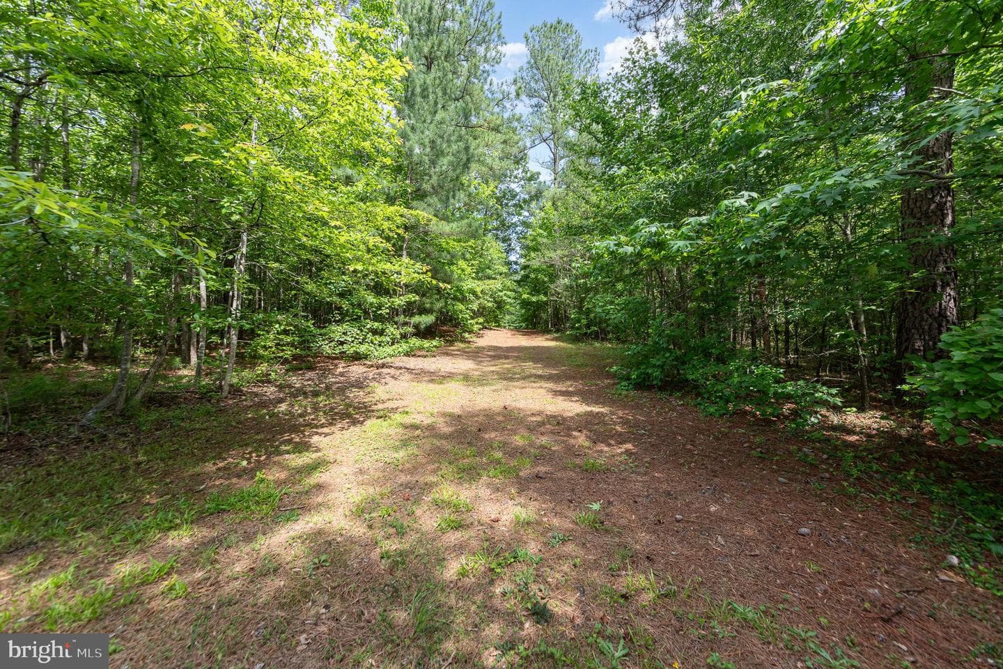 8421 Heron Pointe Way photo 54
