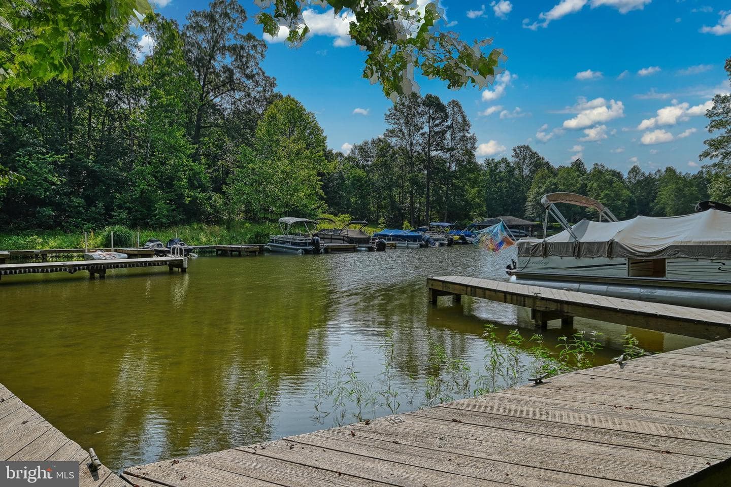 15513 Chestnut Tree Court photo 64