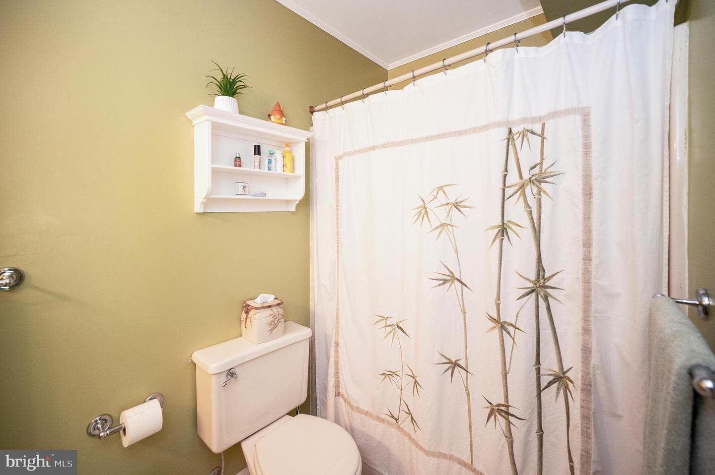 10415 Shaw Drive photo 41