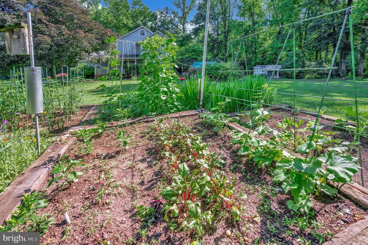 10415 Shaw Drive photo 55