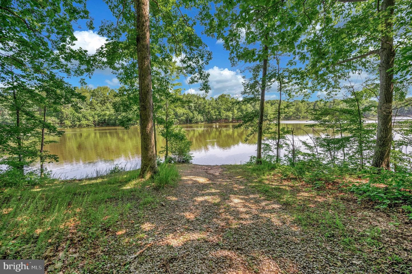10415 Shaw Drive photo 61