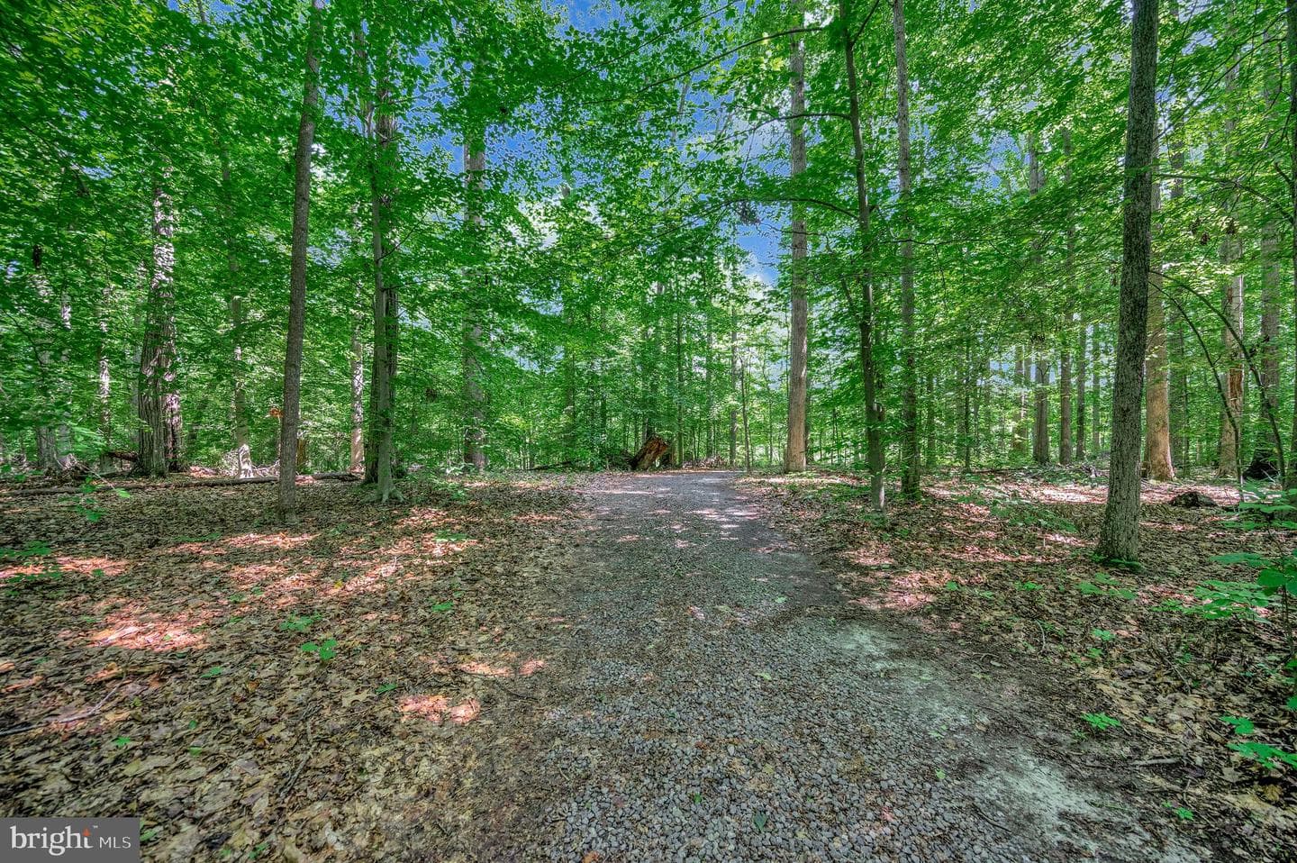 10415 Shaw Drive photo 65
