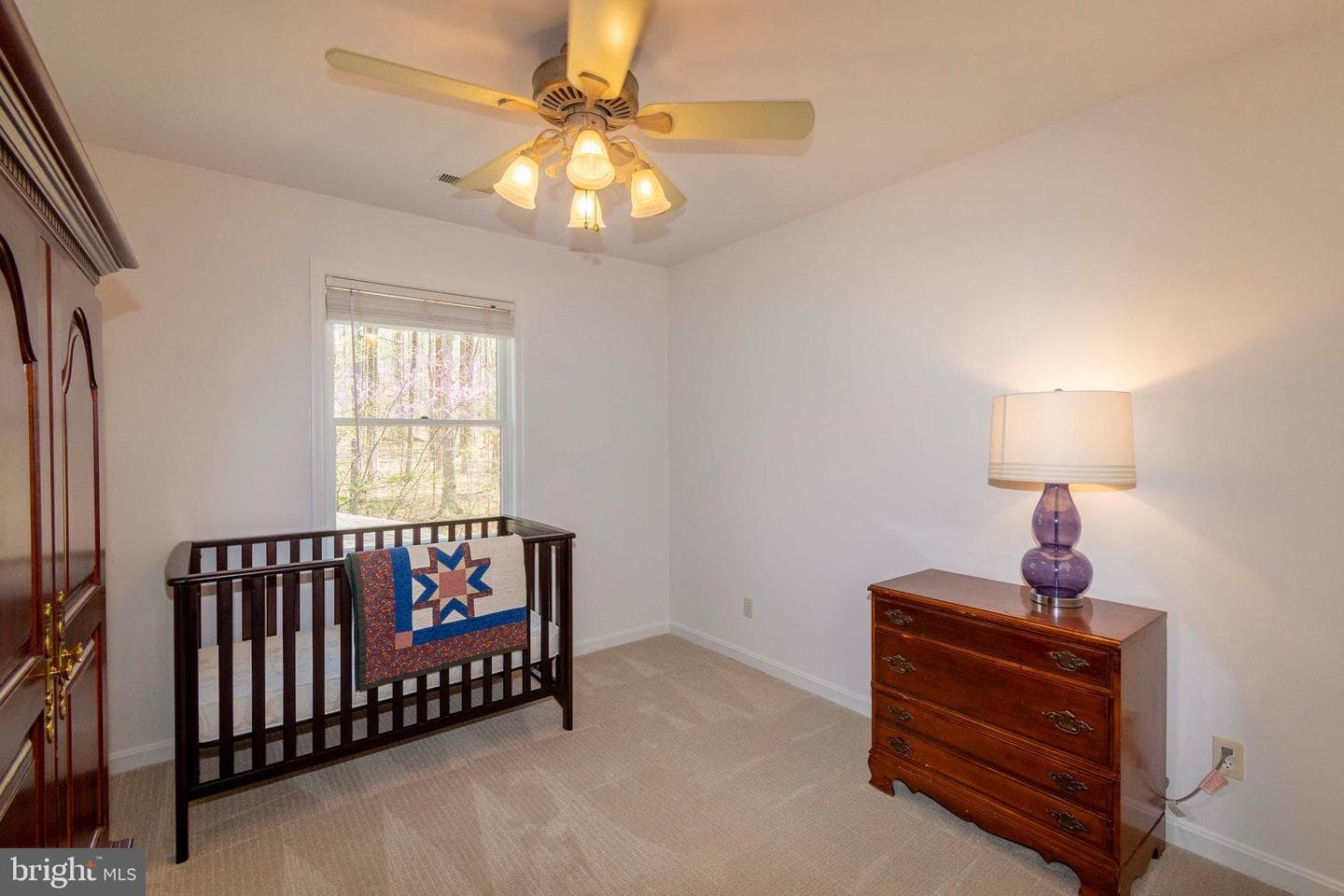 11523 Red Rock Lane photo 53