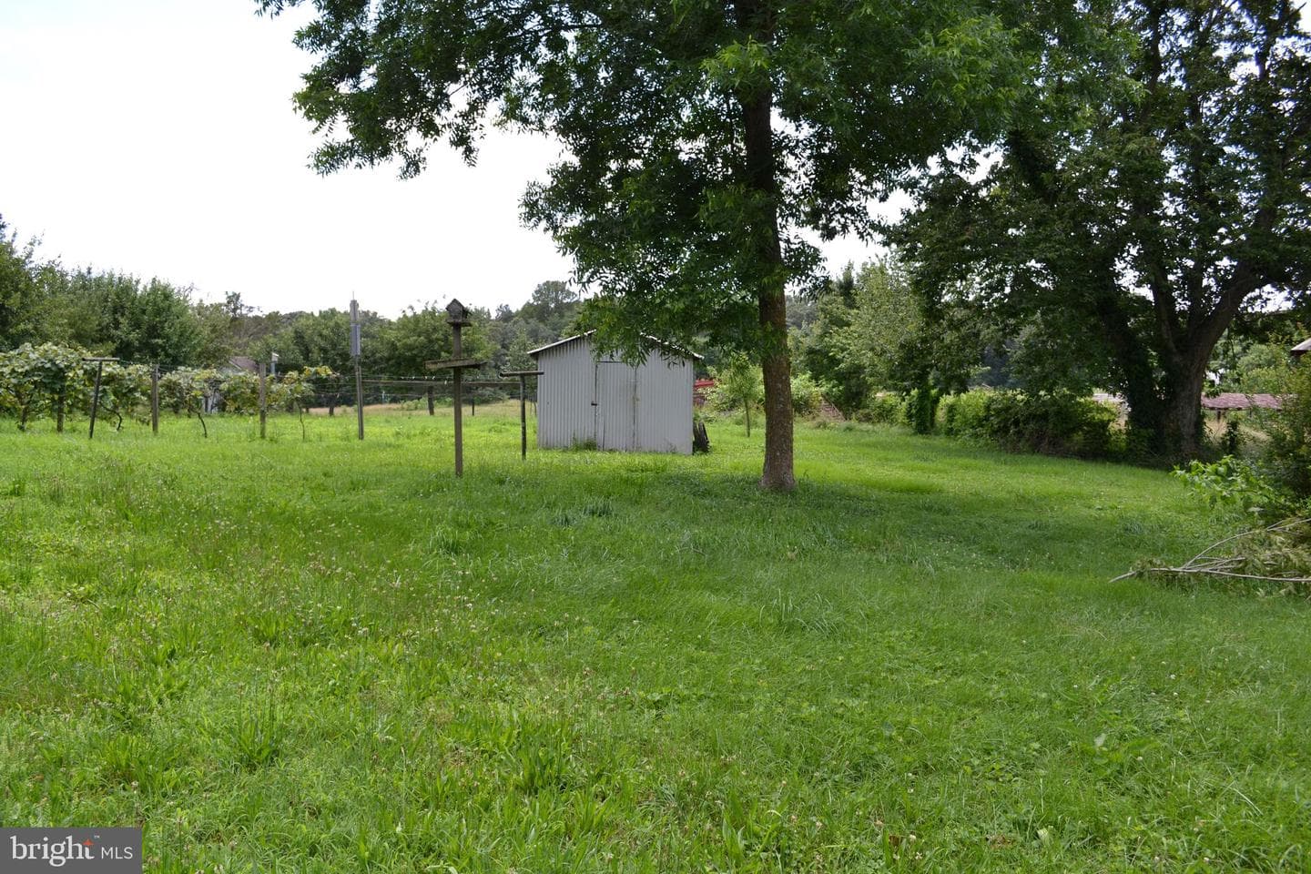 6830 Black Rock Drive photo 13