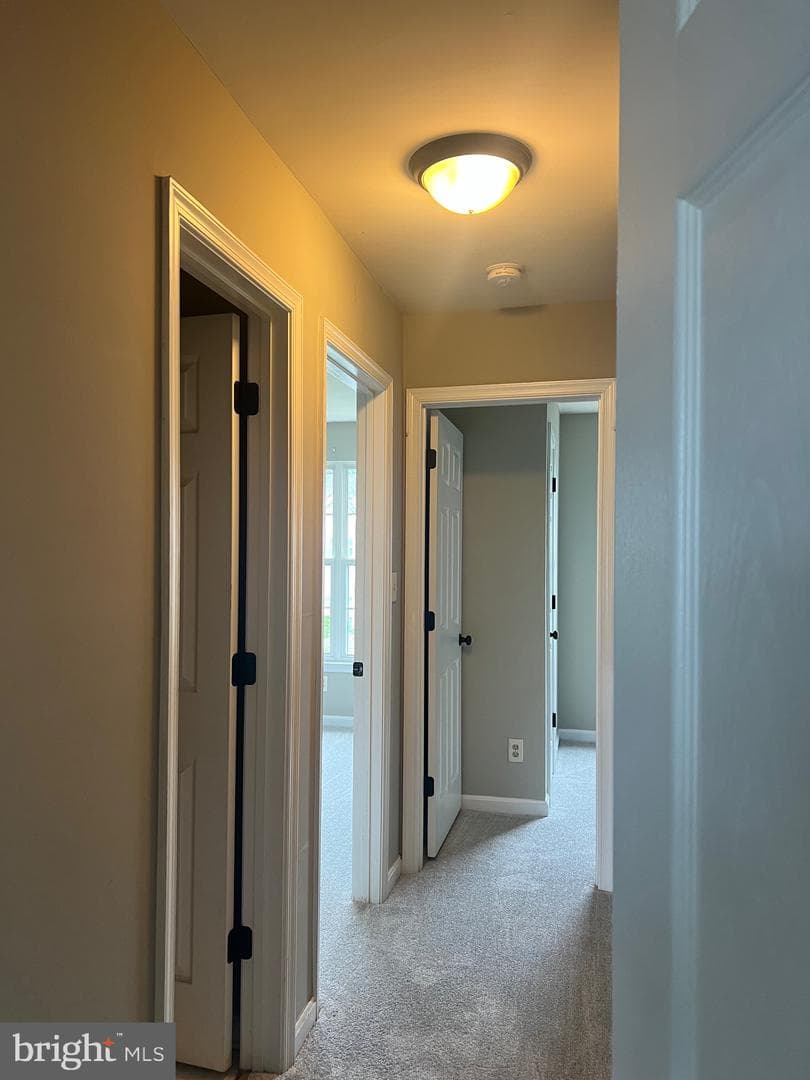 7210 Finch Lane photo 39