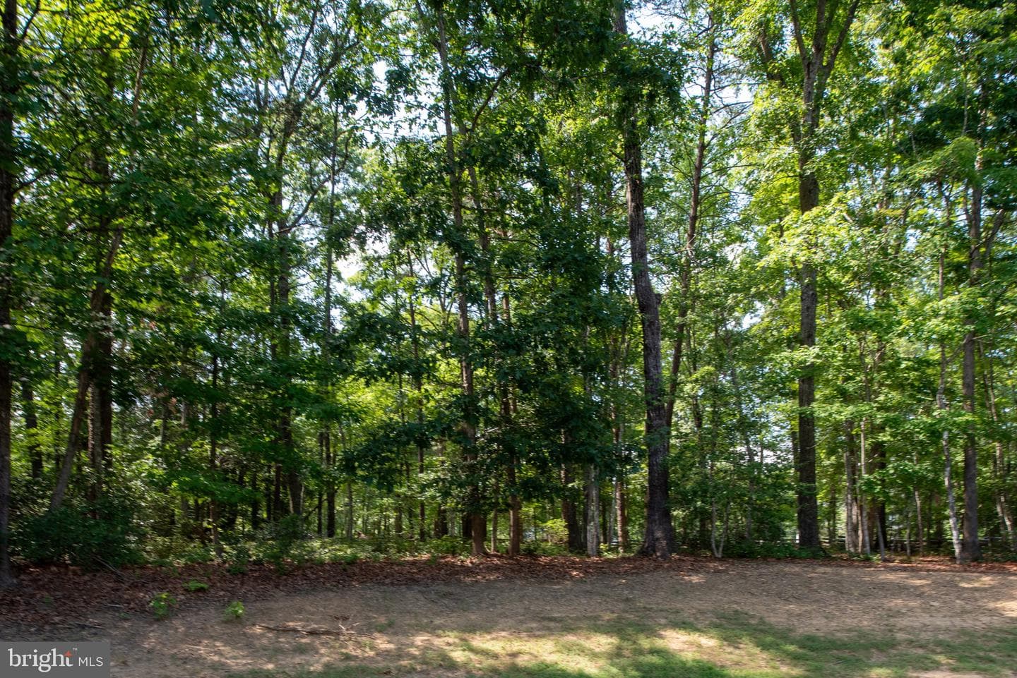 8700 Formation Drive photo 111