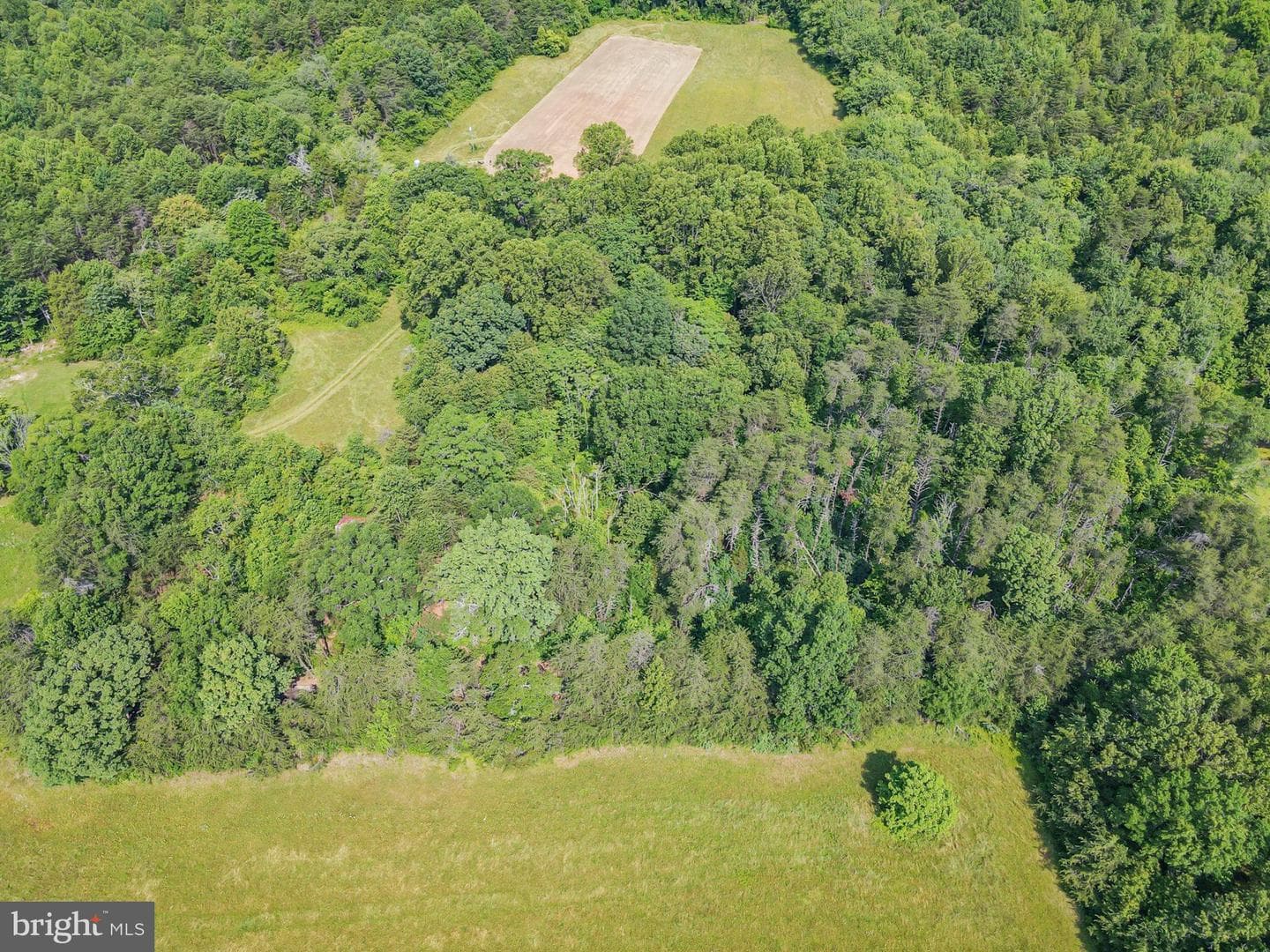 10017 Hayden Road photo 10