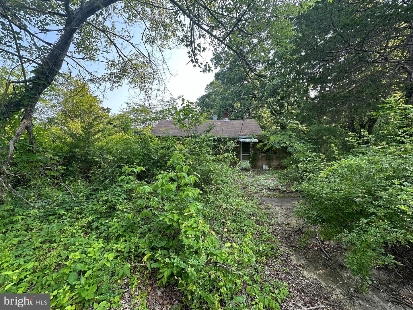 10017 Hayden Road photo 14