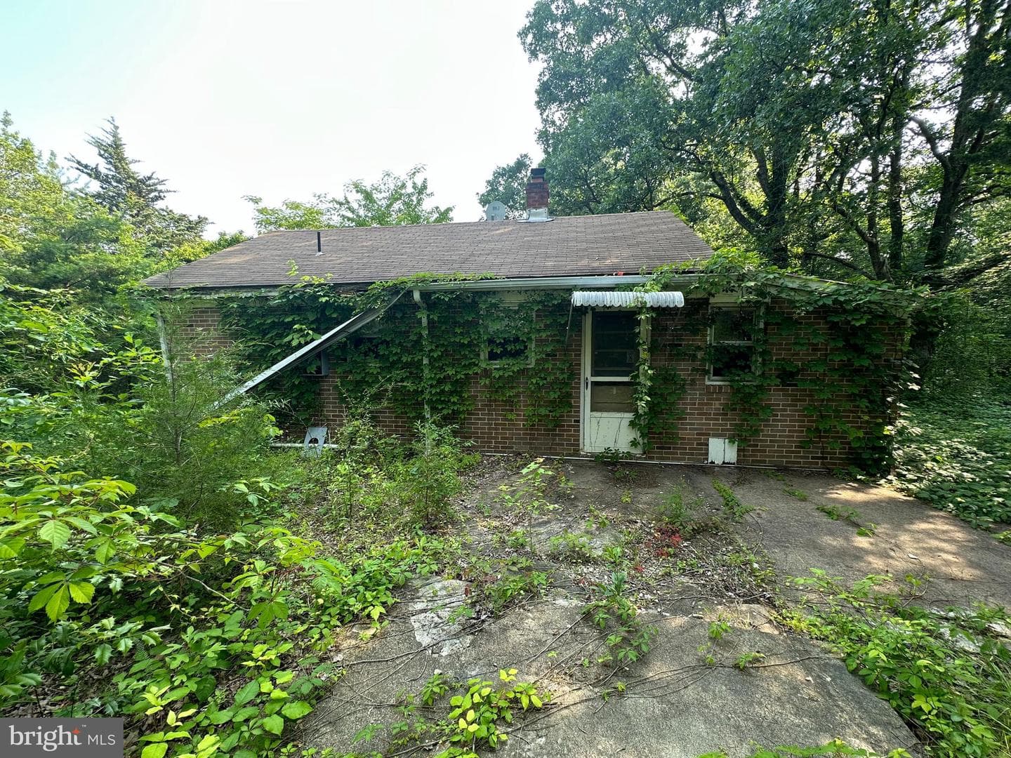 10017 Hayden Road photo 15