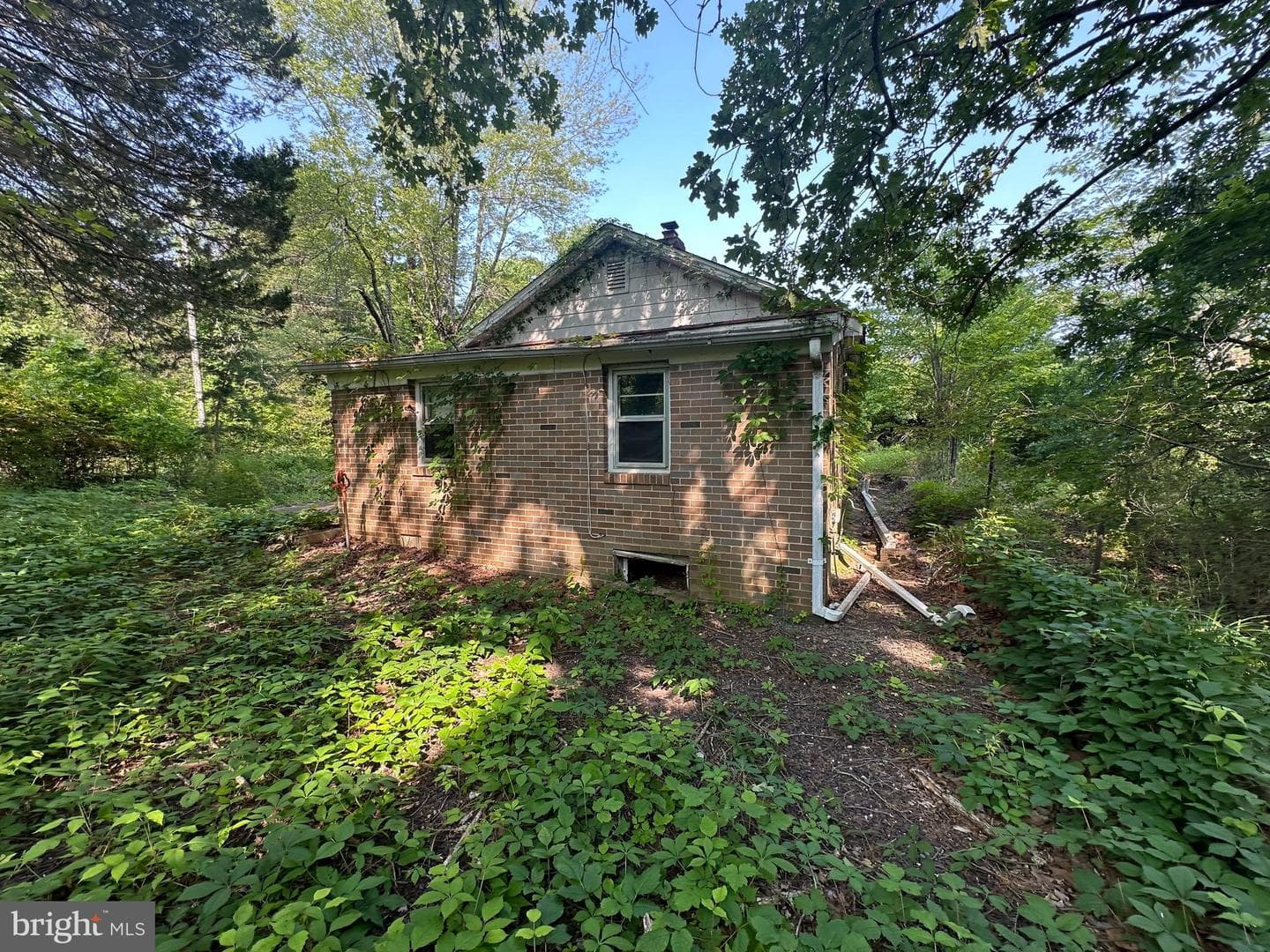 10017 Hayden Road photo 16