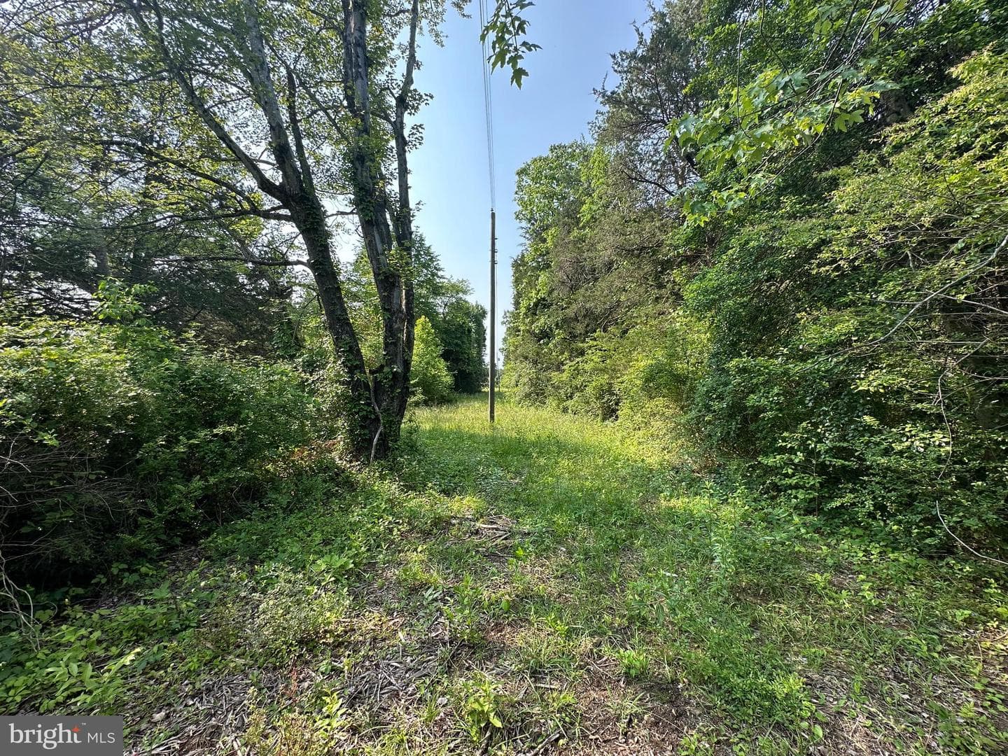 10017 Hayden Road photo 17