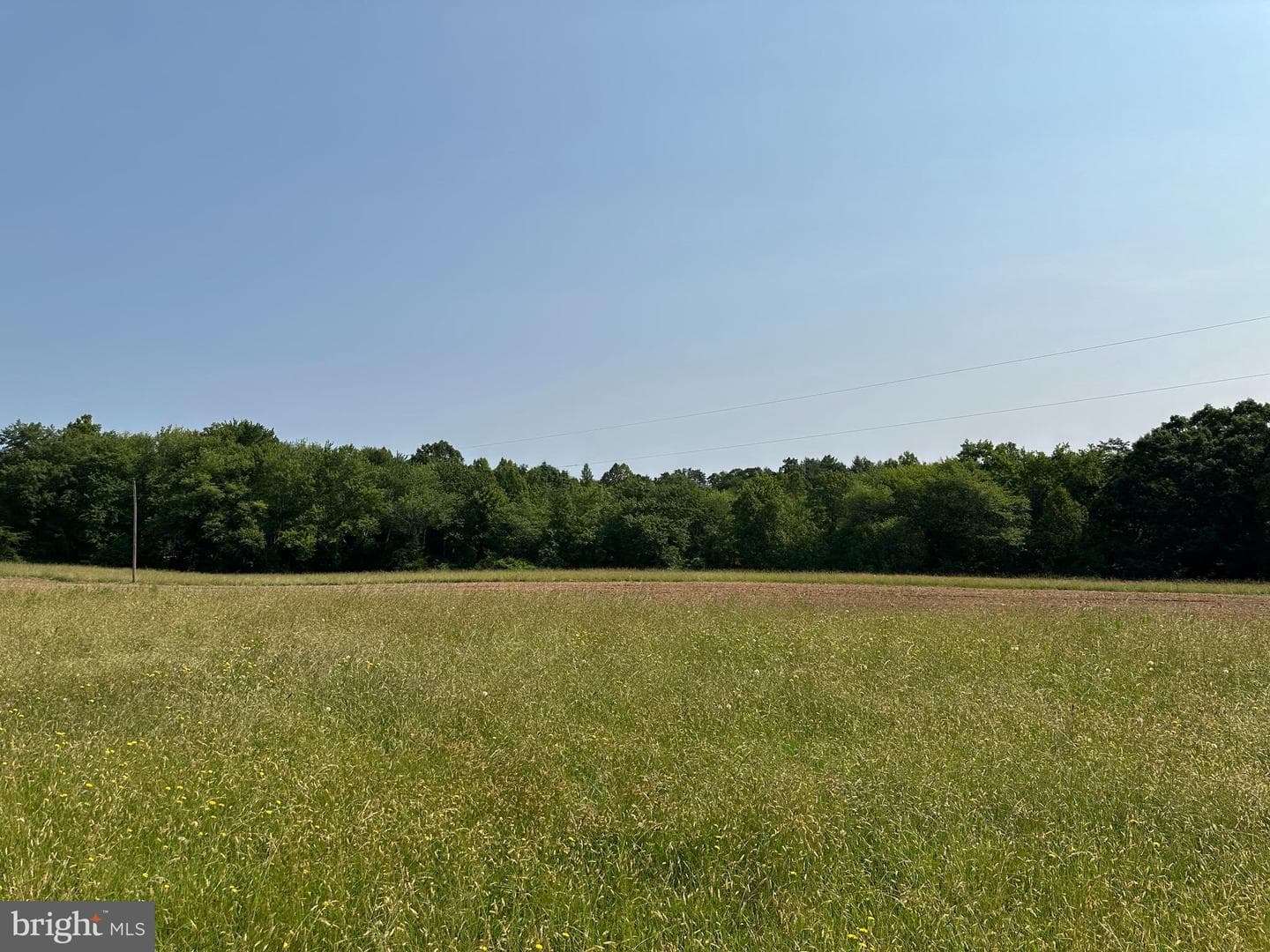 10017 Hayden Road photo 19