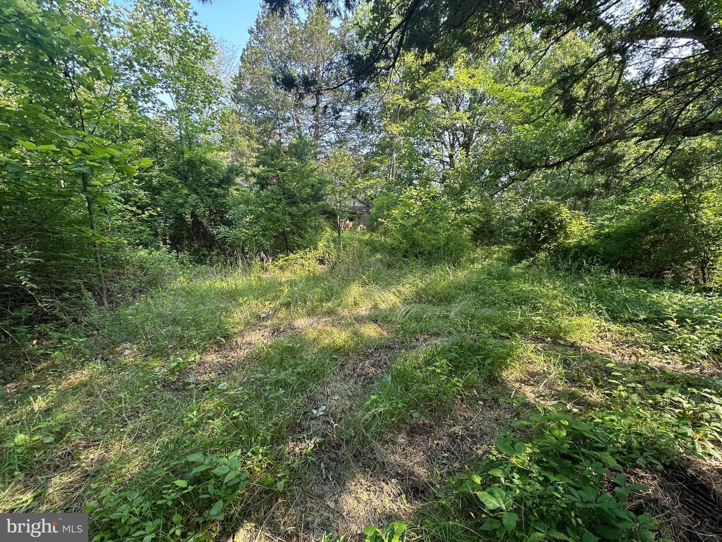 10017 Hayden Road photo 2
