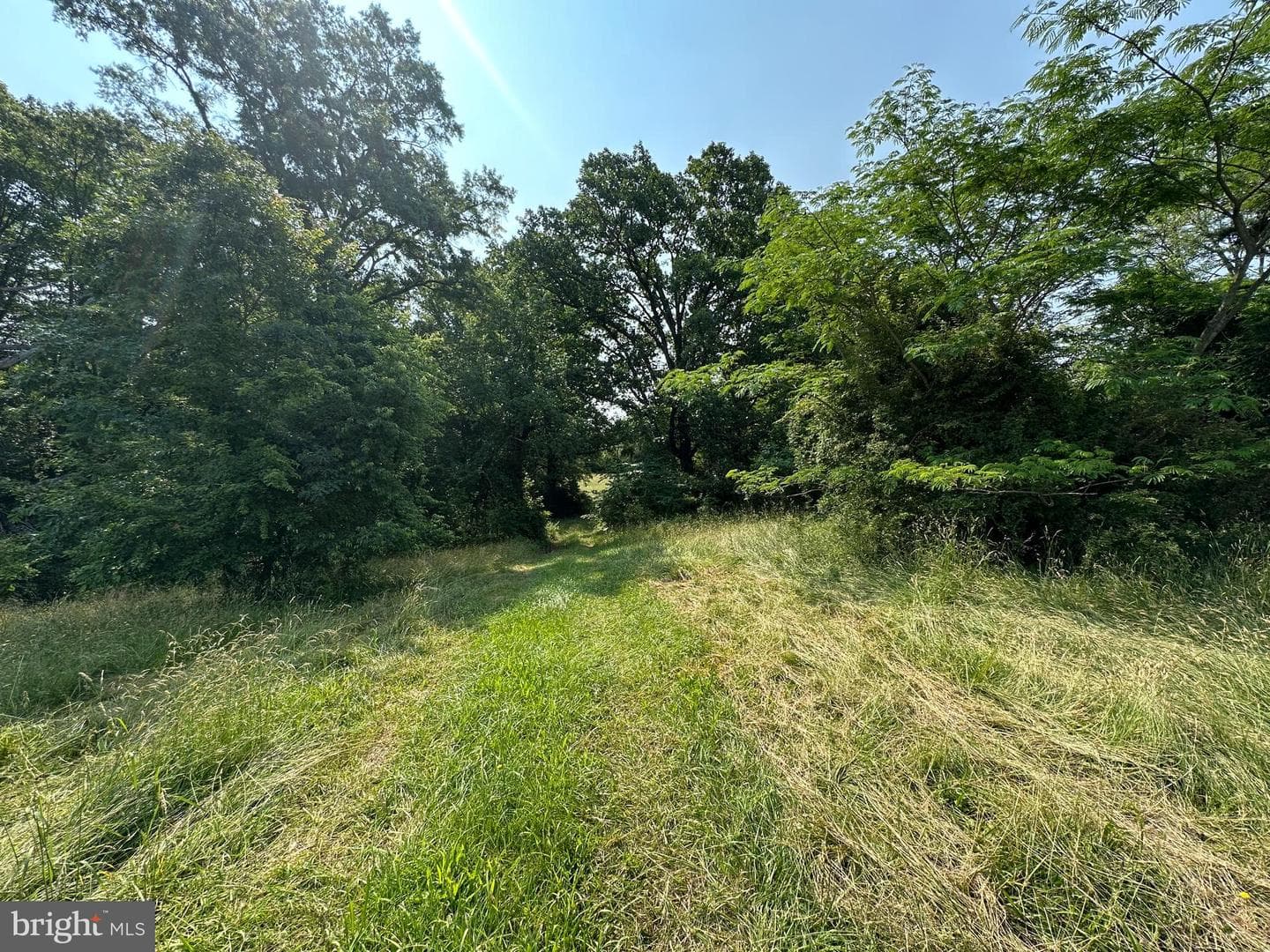 10017 Hayden Road photo 21