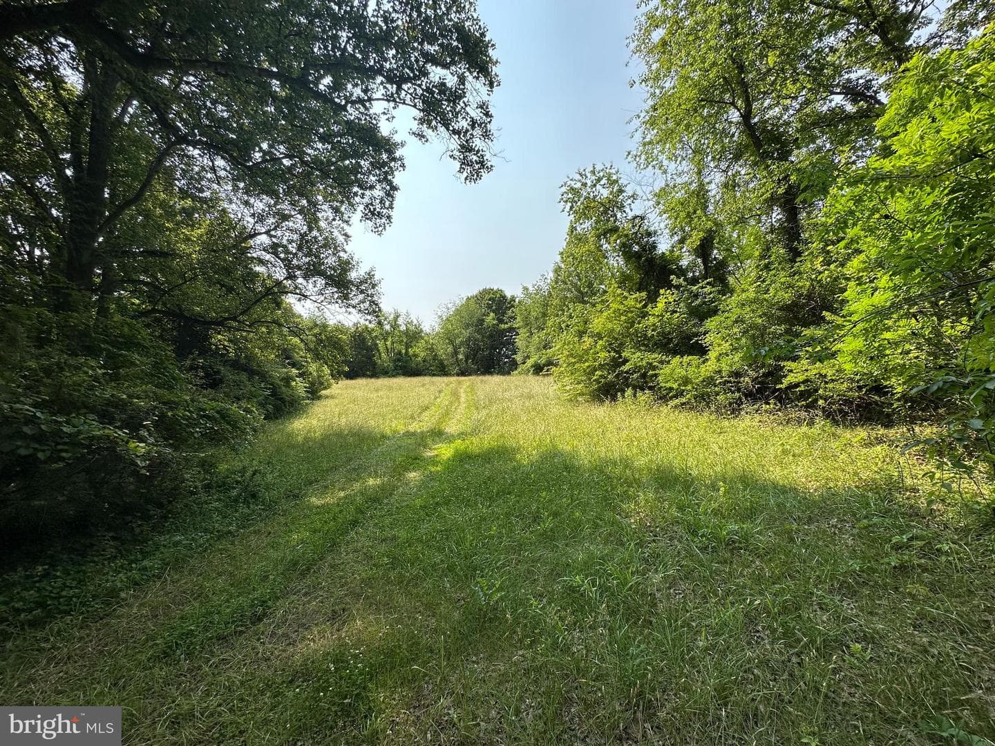 10017 Hayden Road photo 23
